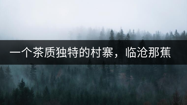 一個(gè)茶質(zhì)獨(dú)特的村寨，臨滄那蕉古樹(shù)茶介紹