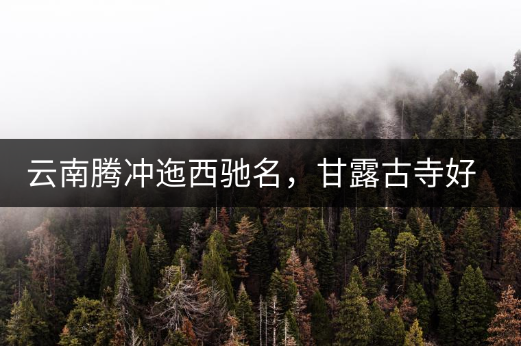 云南騰沖迤西馳名，甘露古寺好茶