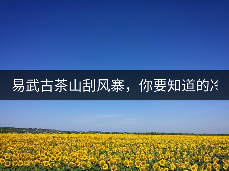 易武古茶山刮風(fēng)寨，你要知道的冷知識(shí)！