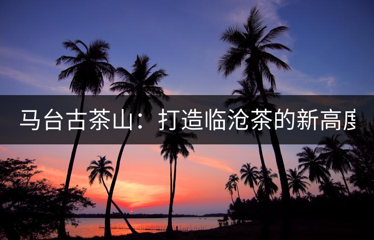 馬臺(tái)古茶山：打造臨滄茶的新高度？