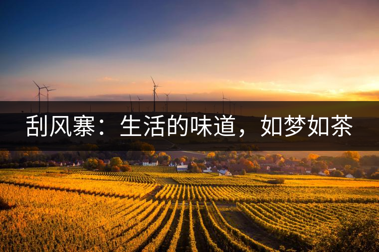刮風寨：生活的味道，如夢如茶