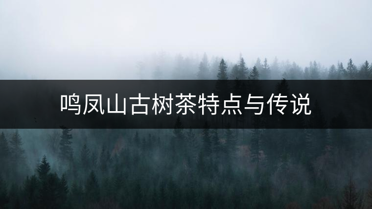 鳴鳳山古樹茶特點(diǎn)與傳說(shuō) 鳴鳳山古樹茶特點(diǎn)與傳說(shuō)