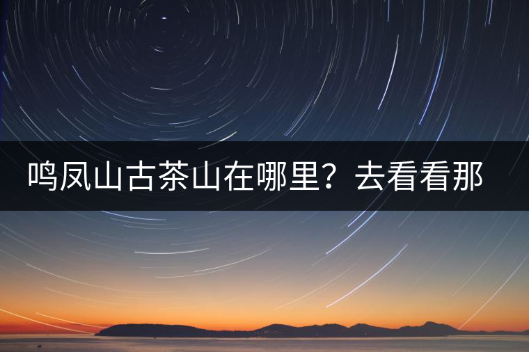 鳴鳳山古茶山在哪里？去看看那鳳凰曾經(jīng)落腳的地方