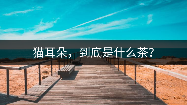 貓耳朵，到底是什么茶？