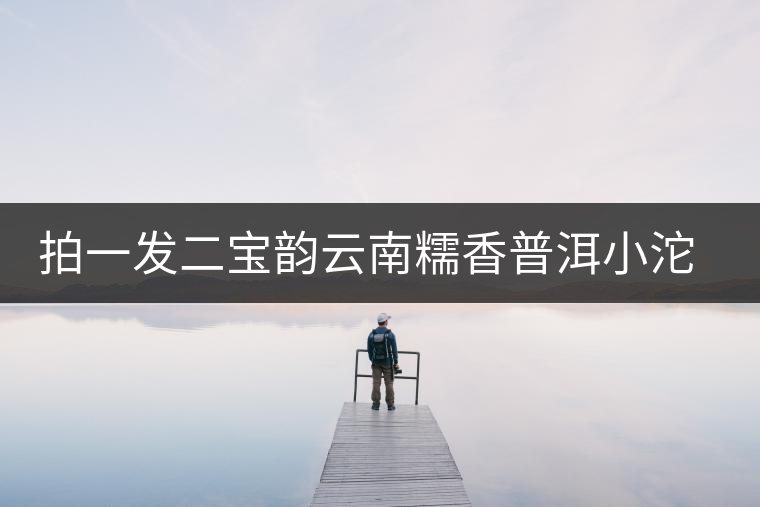 拍一發(fā)二寶韻云南糯香普洱小沱茶熟茶迷你小金沱茶茶葉糯米香濃香 拍一發(fā)二寶韻云南糯香普洱小沱茶熟茶迷你小金沱茶茶葉糯米香濃香