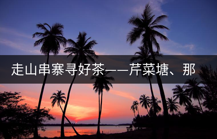 走山串寨尋好茶——芹菜塘、那罕、曼崗、昔歸