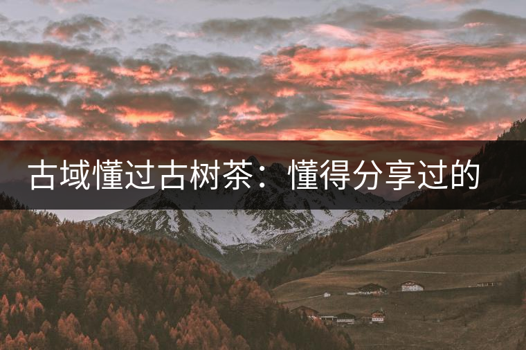 古域懂過古樹茶：懂得分享過的快樂，方為懂過