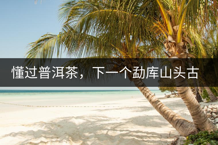 懂過普洱茶，下一個勐庫山頭古純的引爆點