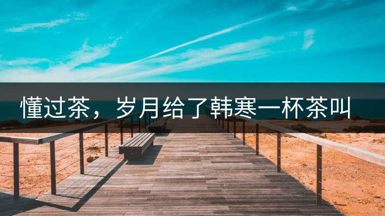 懂過茶，歲月給了韓寒一杯茶叫懂過