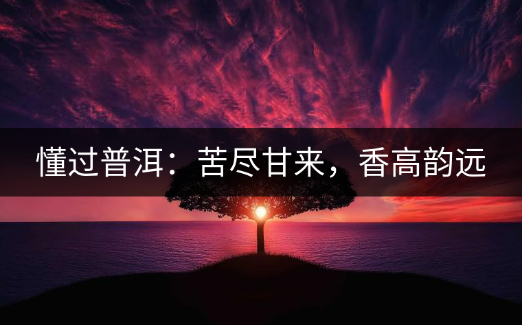 懂過普洱：苦盡甘來，香高韻遠