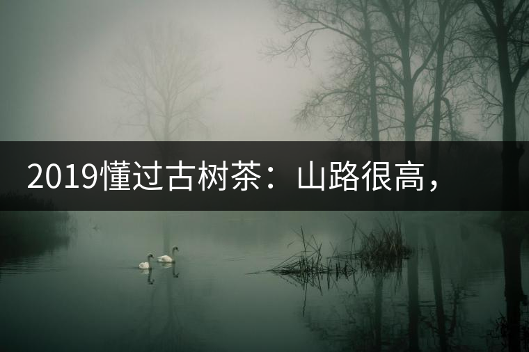 2019懂過古樹茶：山路很高，可仍然有執(zhí)著走向深山的人