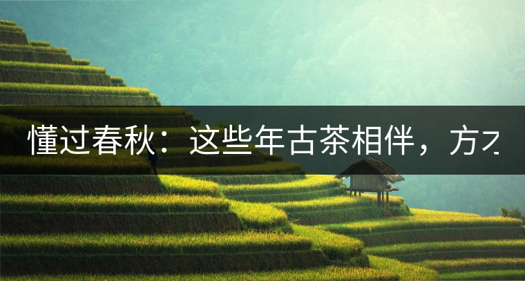 懂過春秋：這些年古茶相伴，方才懂過！