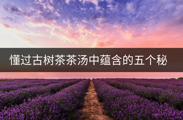 懂過(guò)古樹茶茶湯中蘊(yùn)含的五個(gè)秘密