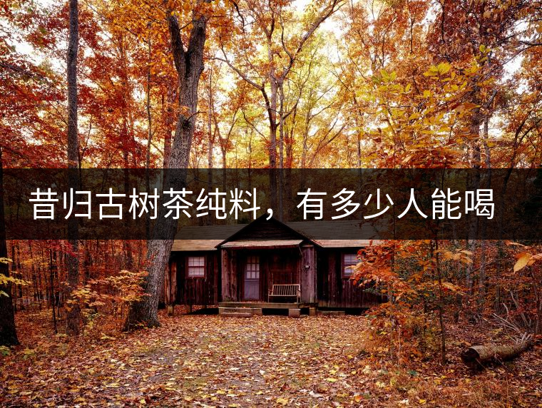 昔歸古樹(shù)茶純料，有多少人能喝到真品