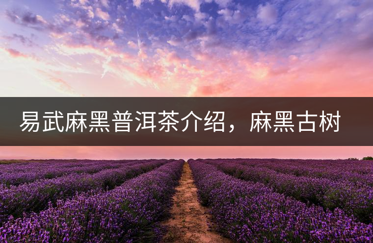 易武麻黑普洱茶介紹，麻黑古樹(shù)茶口感特點(diǎn)