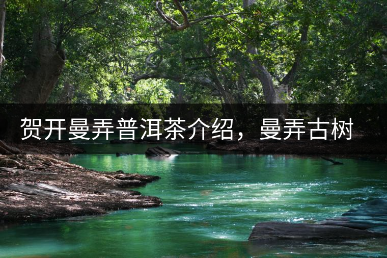 賀開曼弄普洱茶介紹，曼弄古樹茶口感特點