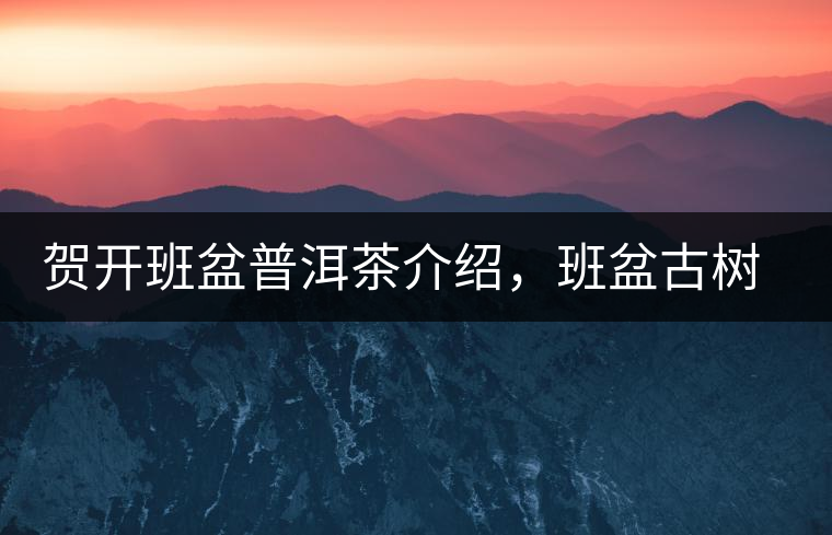 賀開班盆普洱茶介紹，班盆古樹茶口感特點(diǎn)