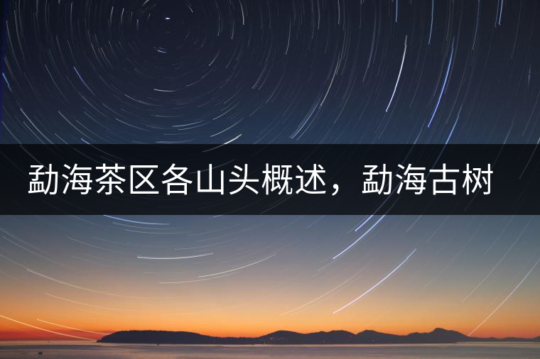 勐海茶區(qū)各山頭概述，勐海古樹茶口感特點