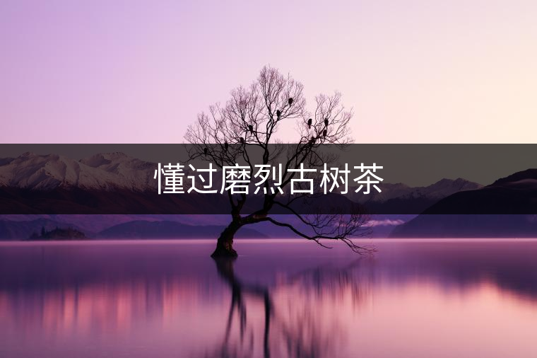 懂過(guò)磨烈古樹(shù)茶 懂過(guò)磨烈古樹(shù)茶
