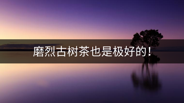 磨烈古樹茶也是極好的！