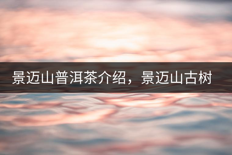 景邁山普洱茶介紹，景邁山古樹茶口感特點