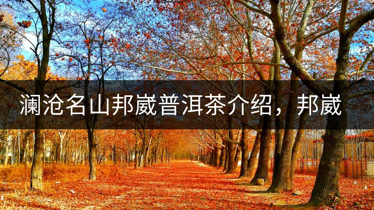 瀾滄名山邦崴普洱茶介紹，邦崴古樹(shù)茶口感特點(diǎn)