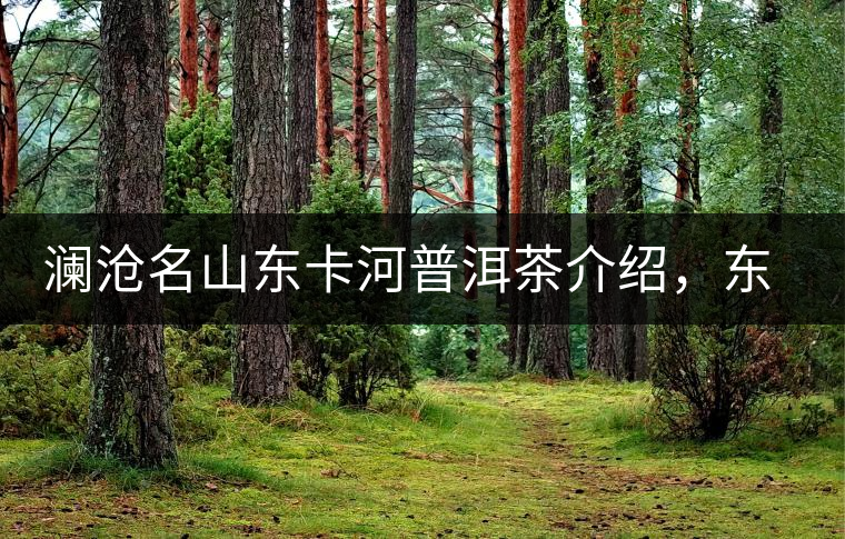 瀾滄名山東卡河普洱茶介紹，東卡河古樹茶口感特點(diǎn)