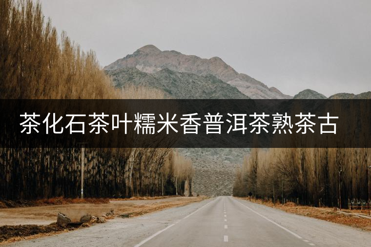 茶化石茶葉糯米香普洱茶熟茶古樹(shù)老茶頭散茶云南碎銀子木冠罐裝 茶化石茶葉糯米香普洱茶熟茶古樹(shù)老茶頭散茶云南碎銀子木冠罐裝