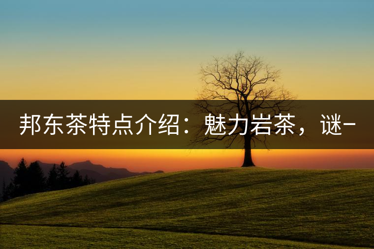 邦東茶特點介紹：魅力巖茶，謎一樣的邦東！