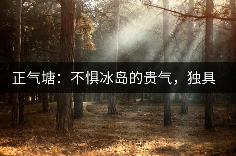 正氣塘：不懼冰島的貴氣，獨具冰島之魅力