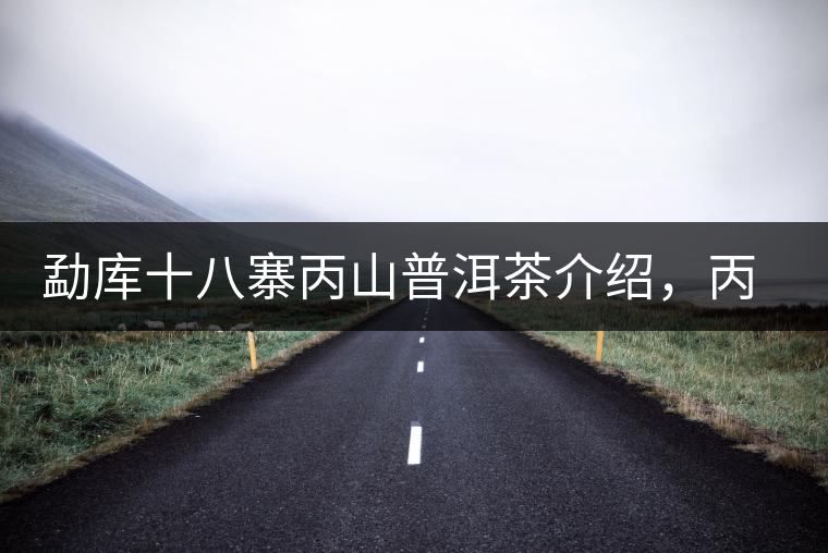 勐庫(kù)十八寨丙山普洱茶介紹，丙山古樹(shù)茶口感特點(diǎn)