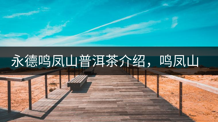 永德鳴鳳山普洱茶介紹，鳴鳳山古樹(shù)茶口感特點(diǎn)