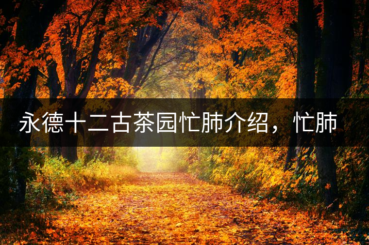 永德十二古茶園忙肺介紹，忙肺茶特點(diǎn)