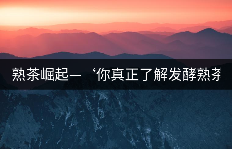 熟茶崛起—‘你真正了解發(fā)酵熟茶？’