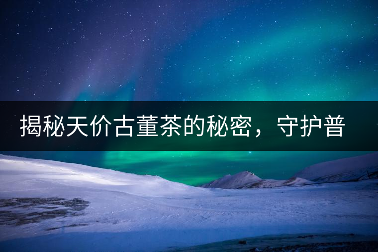 揭秘天價古董茶的秘密，守護普洱茶的健康發(fā)展