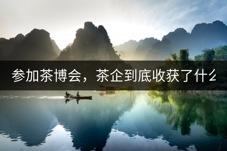 參加茶博會(huì)，茶企到底收獲了什么？