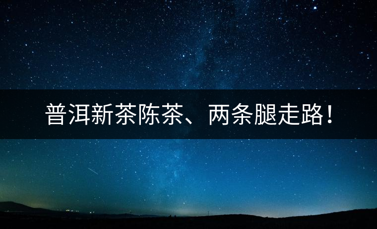 普洱新茶陳茶、兩條腿走路！