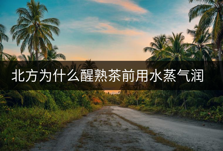 北方為什么醒熟茶前用水蒸氣潤(rùn)一下？有何用處？