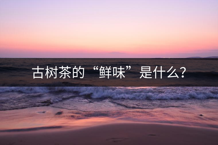 古樹(shù)茶的“鮮味”是什么？