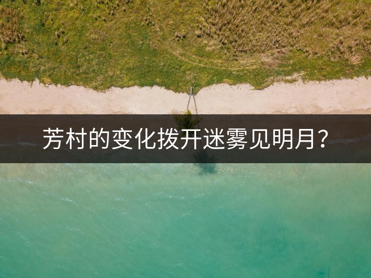 芳村的變化撥開迷霧見明月？