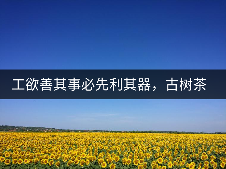 工欲善其事必先利其器，古樹茶用什么茶器最好？