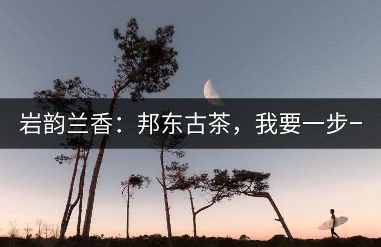 巖韻蘭香：邦東古茶，我要一步一步往上爬！