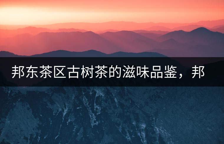 邦東茶區(qū)古樹(shù)茶的滋味品鑒，邦東普洱茶特點(diǎn)