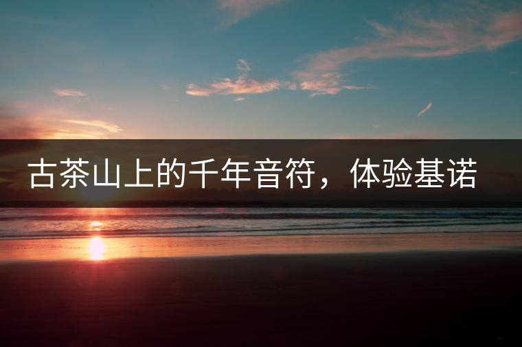 古茶山上的千年音符，體驗基諾山寨