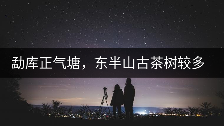 勐庫(kù)正氣塘，東半山古茶樹較多的寨子