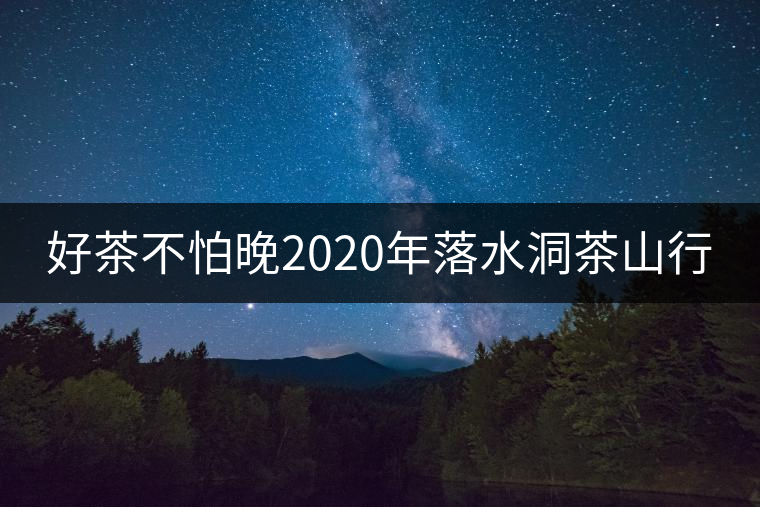 好茶不怕晚2020年落水洞茶山行 好茶不怕晚2020年落水洞茶山行