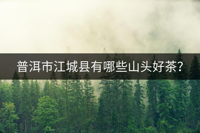 普洱市江城縣有哪些山頭好茶？