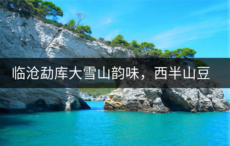 臨滄勐庫大雪山韻味，西半山豆腐寨古樹茶