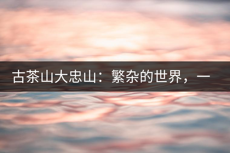 古茶山大忠山：繁雜的世界，一杯就夠了