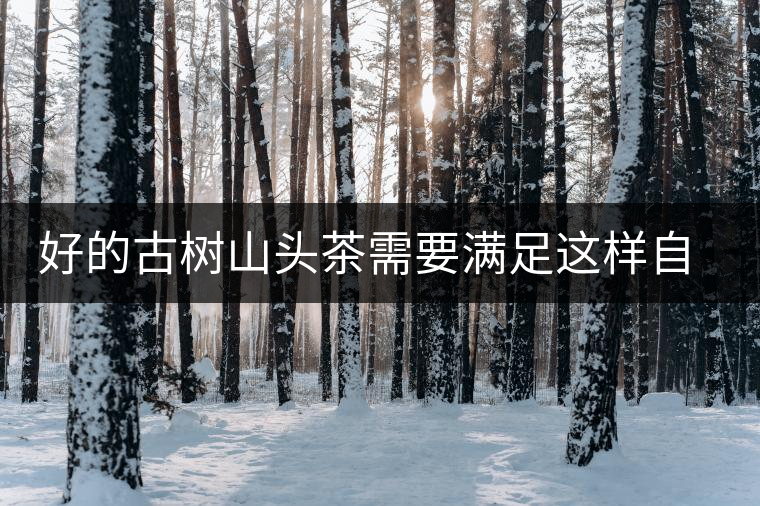好的古樹(shù)山頭茶需要滿(mǎn)足這樣自然條件，以大忠山為例！